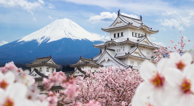 shutterstock601341215huge-1675509836757